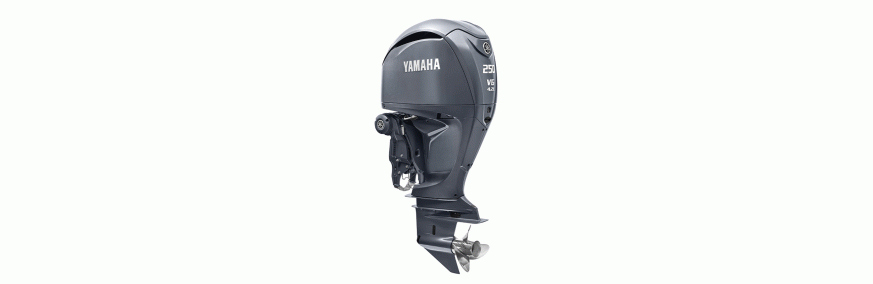 Yamaha/Parsun - 2 Strokes